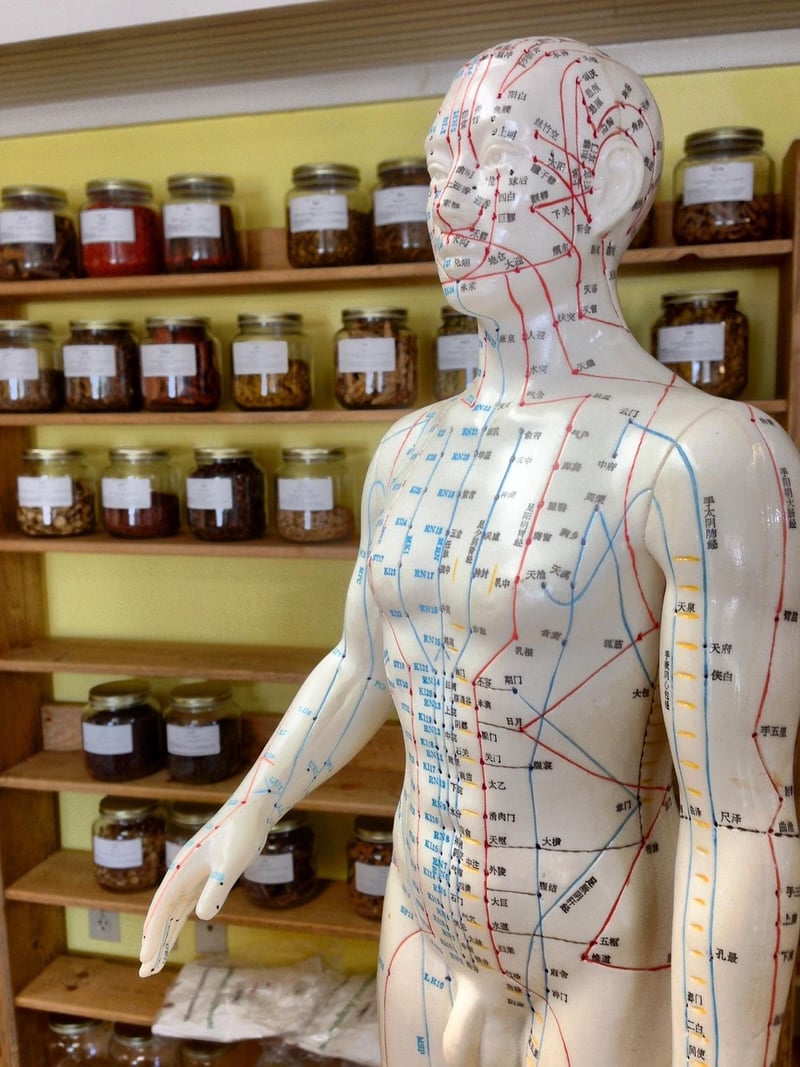 Homeopathy Treatments